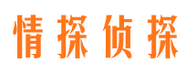 广西侦探公司